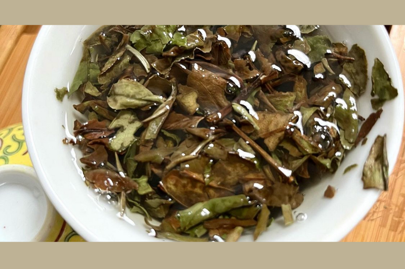 a bowl with white peony tea leaves steeped in water
