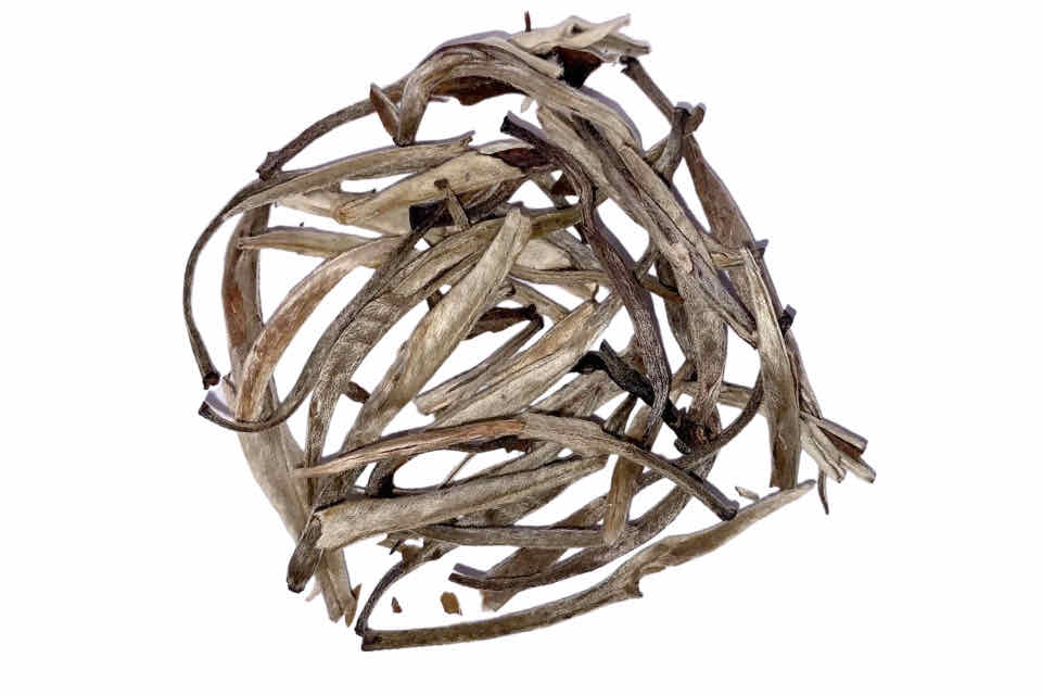 A pile of dry, yin zhen silver needle tea leaves against a white background.