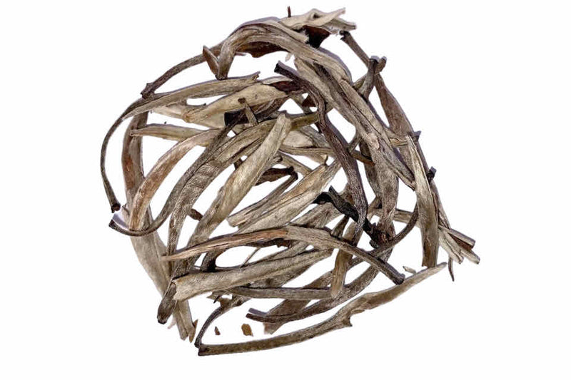 A pile of dry, yin zhen silver needle tea leaves against a white background.